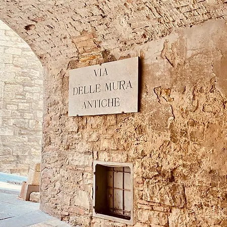 別荘 Vermaaten Boutique Ruby トーディ