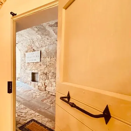 Vermaaten Boutique Ruby * トーディ