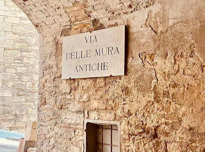 Hébergement de vacances Vermaaten Boutique Ruby Todi